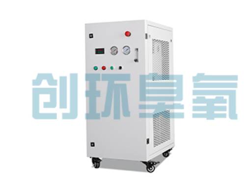 昌邑石斑鱼养殖水质调控完整指南：臭氧发生器配置与操作步骤