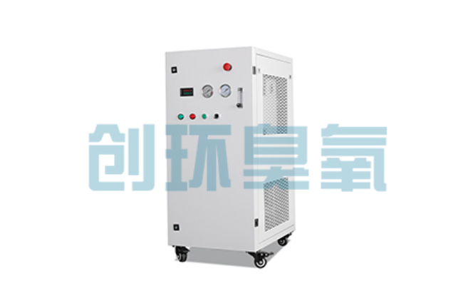 昌邑比传统换水更高效？臭氧发生器在石斑鱼养殖中的水质净化原理解析
