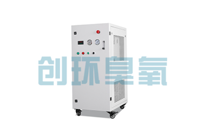 昌邑比传统换水更高效？臭氧发生器在石斑鱼养殖中的水质净化原理解析